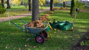 lawn mowing services and lawn maintenance