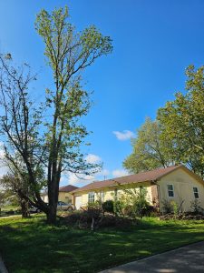 tree service in nixa mo
