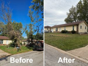 Storm-Damaged Tree Removal in Nixa, MO
