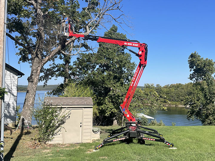 Spider Lift for Difficult-Access Tree Removal